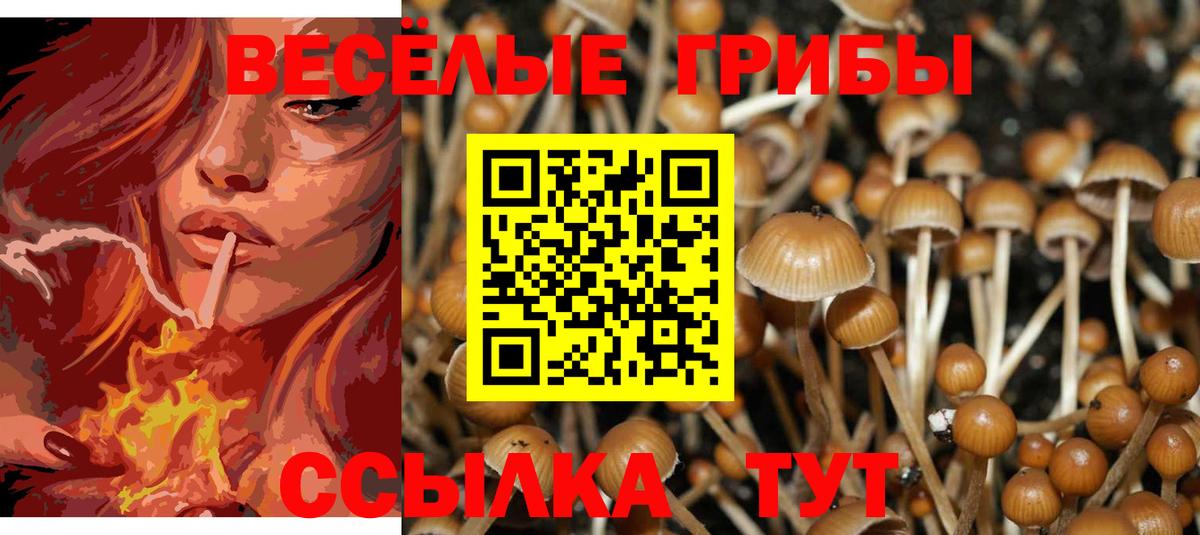 Егорьевск  Галлюциногенные грибы мицелий  Псилоцибиновые грибы MAGIC MUSHROOMS  Вход с VPN 