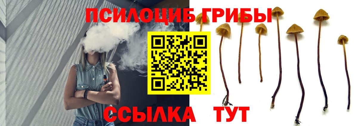 ГАШИШ Егорьевск